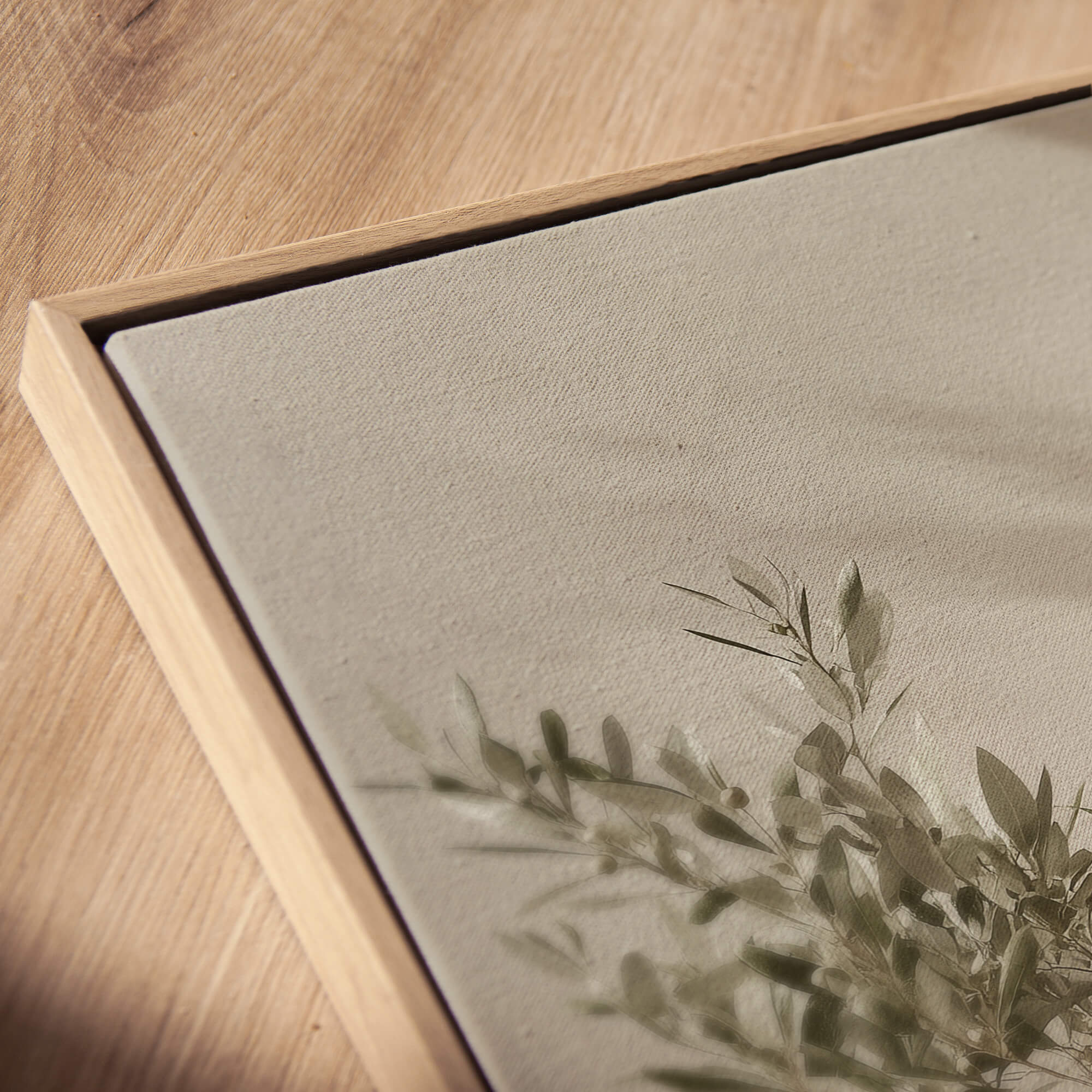 Studio Olive Tree Canvas Print Wall Art - Melrose Editions