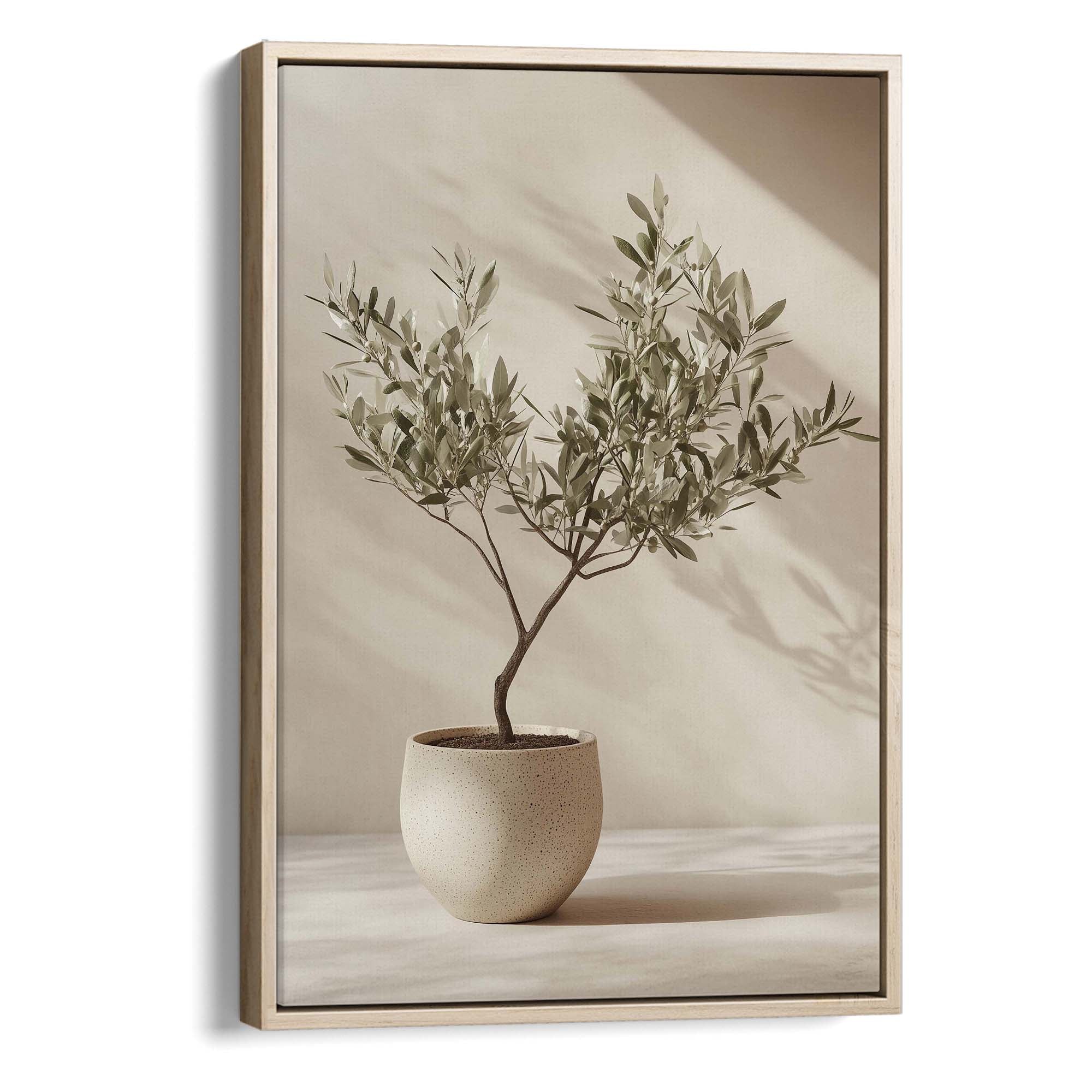 Studio Olive Tree Canvas Print Natural Wall Art - Melrose Editions