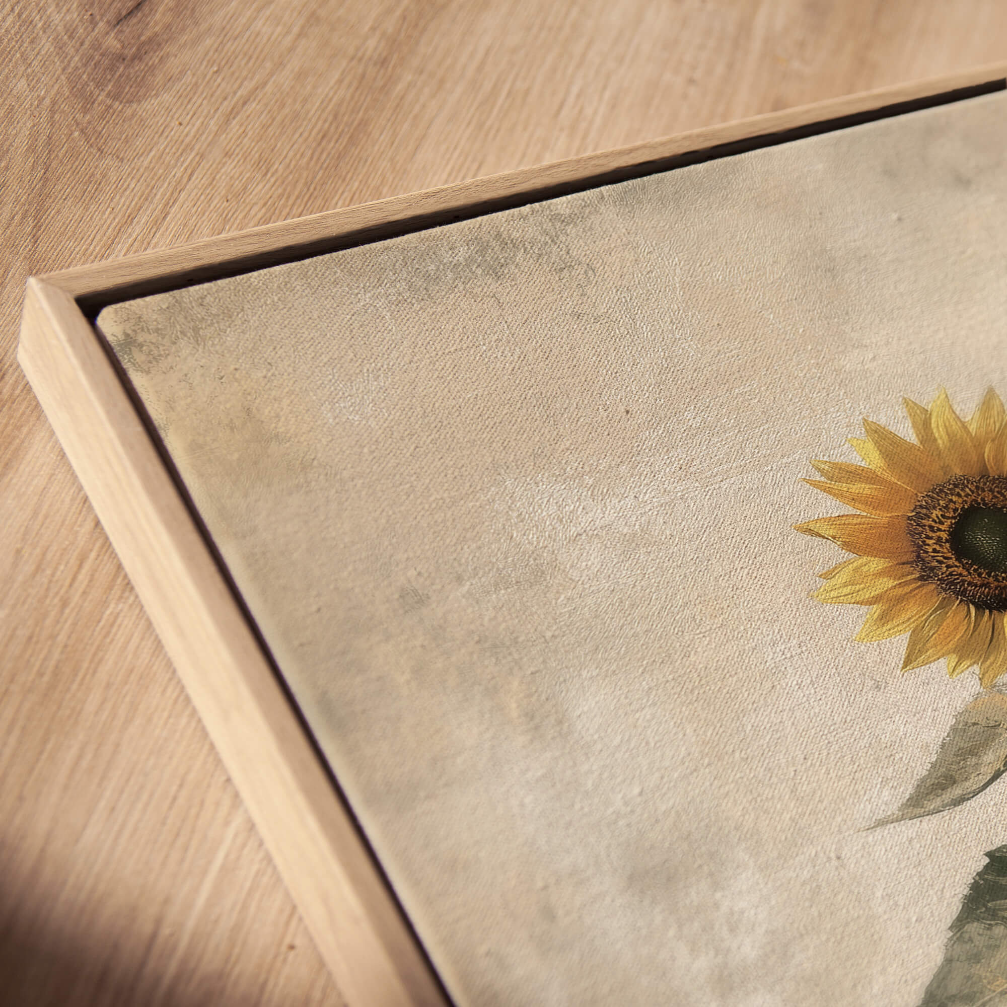 Sunlit Sunflower No.1 Canvas Print Wall Art - Melrose Editions