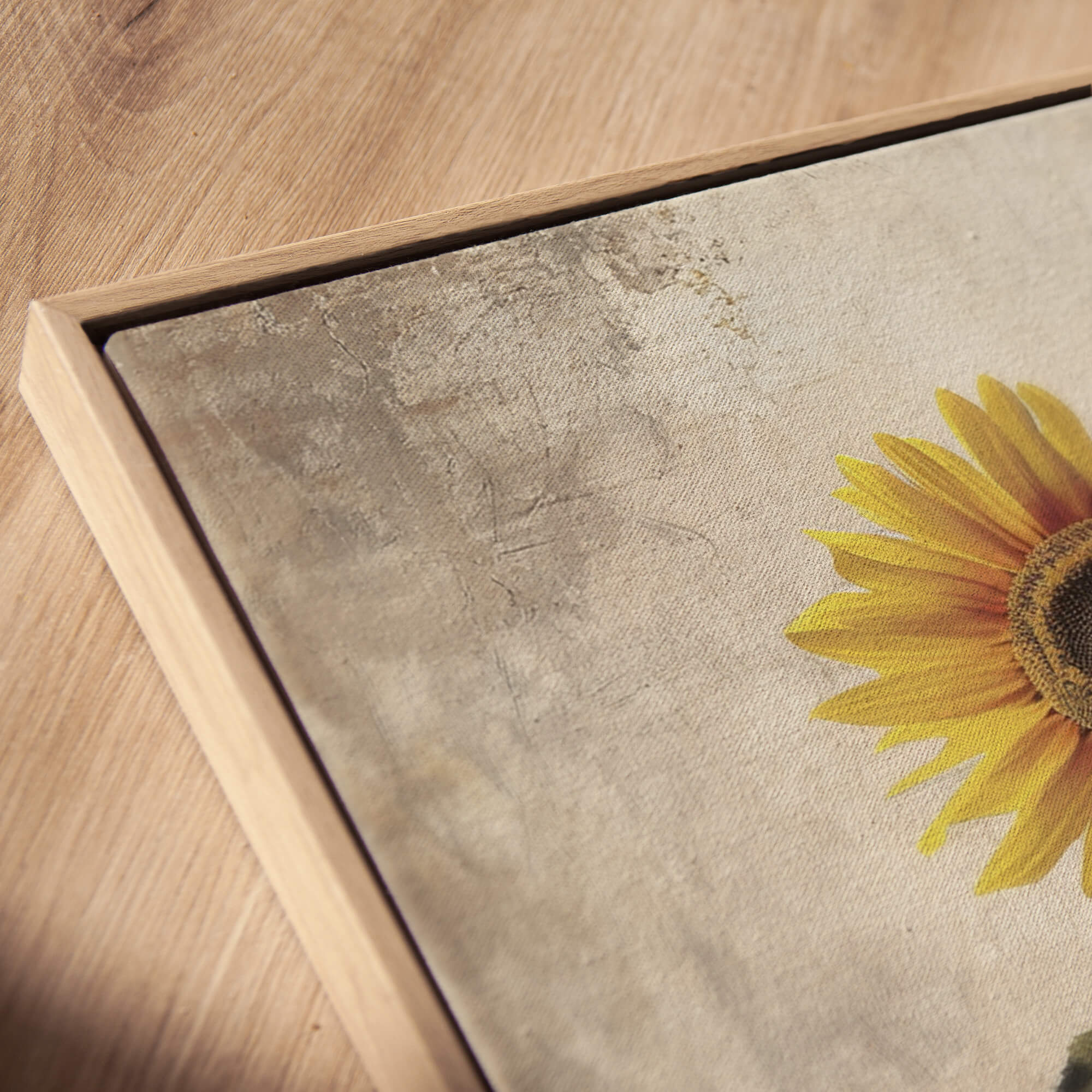 Sunlit Sunflower No.2 Canvas Print Wall Art - Melrose Editions